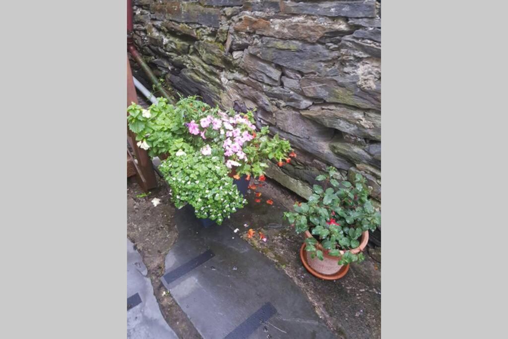 Porthmadog Harbour Town - High Street Apartment. Luaran gambar